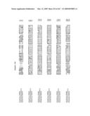 Phenylpropanoid related regulatory protein-regulatory region associations diagram and image