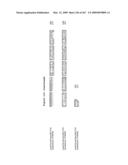 Phenylpropanoid related regulatory protein-regulatory region associations diagram and image