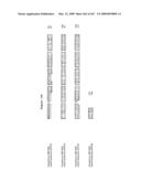 Phenylpropanoid related regulatory protein-regulatory region associations diagram and image