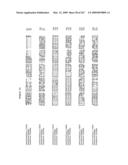 Phenylpropanoid related regulatory protein-regulatory region associations diagram and image