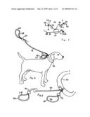 Pet restraint diagram and image