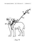 Pet restraint diagram and image