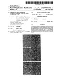 PHOSPHATING SOLUTION WITH HYDROGEN PEROXIDE AND CHELATING CARBOXYLIC ACIDS diagram and image