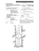 WELLBORE CONSOLIDATING TOOL FOR ROTARY DRILLING APPLICATIONS diagram and image