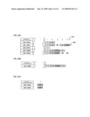 APPARATUS FOR PRODUCING RFID LABELS AND DOCUMENT-PROCESSING PROGRESS MANAGEMENT SYSTEM diagram and image