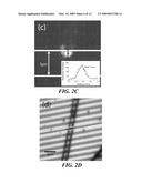 ELECTROSPUN LIGHT-EMITTING FIBERS diagram and image