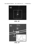 ELECTROSPUN LIGHT-EMITTING FIBERS diagram and image