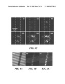 ELECTROSPUN LIGHT-EMITTING FIBERS diagram and image