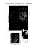 View Projection for Dynamic Configurations diagram and image