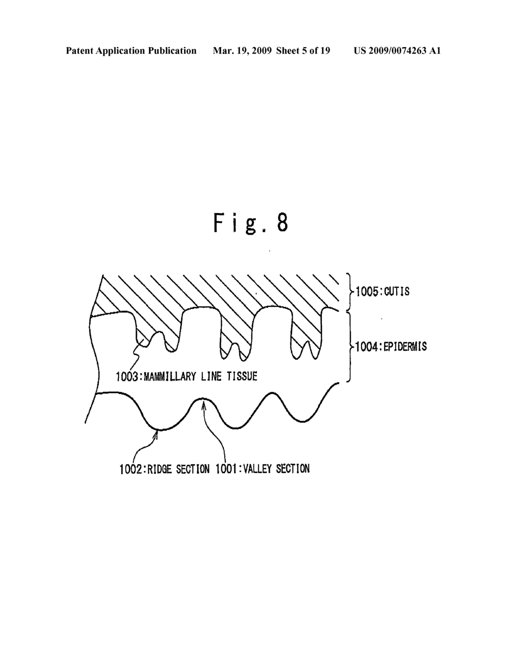 APPARATUS FOR INPUTTING BIOMETRICAL FEATURE - diagram, schematic, and image 06