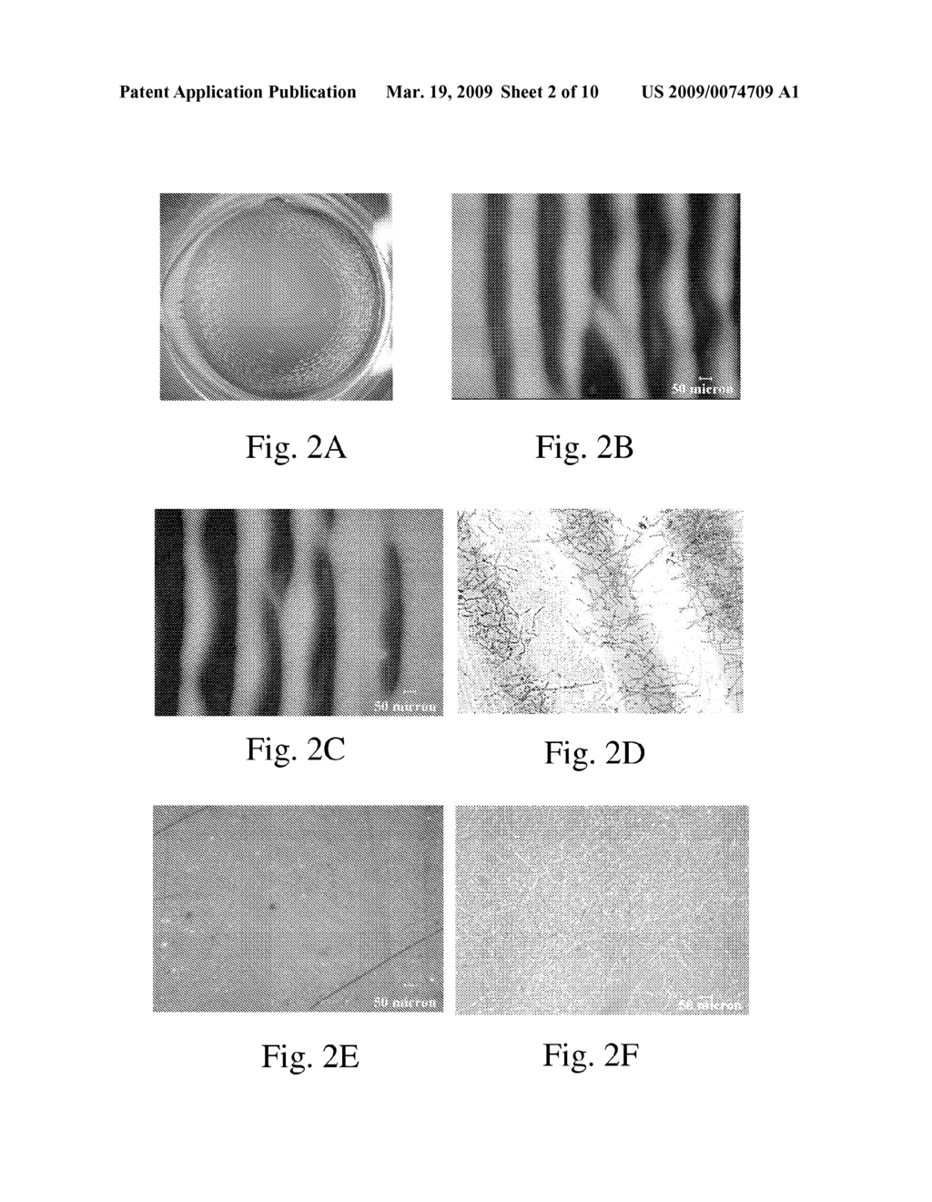 METHODS, DEVICES AND SYSTEMS FOR BIOCIDAL SURFACE ACTIVITY - diagram, schematic, and image 03