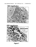 Isolation of adult multipotential cells by tissue non-specific alkaline phosphatase diagram and image