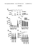 Inositol Pyrophosphates Determine Exocytotic Capacity diagram and image