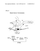 REGULATOR OF BASAL CELLULAR CALCIUM CONCENTRATION AND METHODS OF USE diagram and image