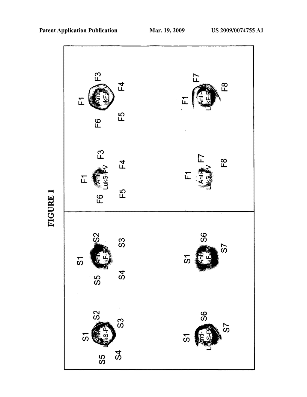 Use of panton-valentine leukocidin for treating and preventing staphylococcus infections - diagram, schematic, and image 02