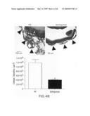 COMPOSITIONS AND METHODS FOR TREATING OCULAR DISEASES AND CONDITIONS diagram and image