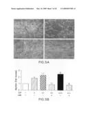 COMPOSITIONS AND METHODS FOR TREATING OCULAR DISEASES AND CONDITIONS diagram and image