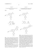 Phenylisoquinoline and Phenylquinazoline Derivatives diagram and image