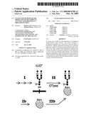 System and method for the production of recombinant glycosylated proteins in a prokaryotic host diagram and image