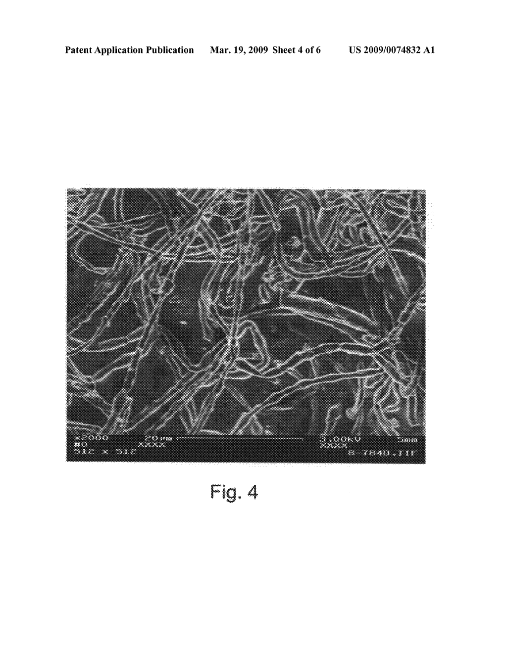 Medical Scaffold, Methods of Fabrication and Using Thereof - diagram, schematic, and image 05