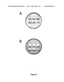 NOVEL ANTIMICROBIAL PEPTIDES WITH HEPARIN BINDING ACTIVITY diagram and image