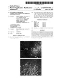 Reversible Hydrophobic Modification of Drugs for Improved Delivery to Cells diagram and image