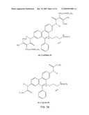 Reversible Hydrophobic Modification of Drugs for Improved Delivery to Cells diagram and image