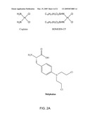 Reversible Hydrophobic Modification of Drugs for Improved Delivery to Cells diagram and image