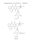 Reversible Hydrophobic Modification of Drugs for Improved Delivery to Cells diagram and image