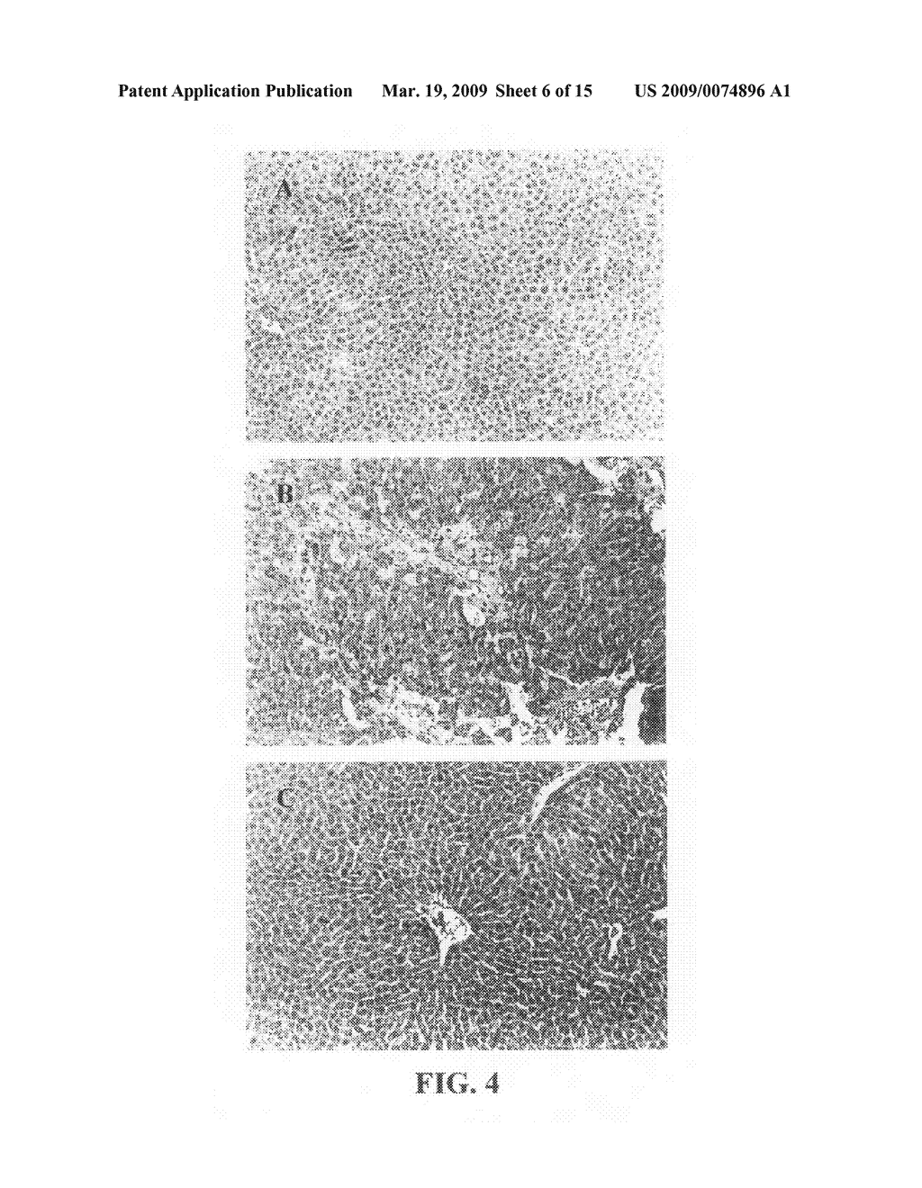 Extracts of Polygonum multiflorum Thunb, and preparation process and uses of the same - diagram, schematic, and image 07