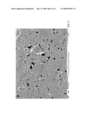 ENGINE PORTIONS WITH FUNCTIONAL CERAMIC COATINGS AND METHODS OF MAKING SAME diagram and image