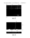 PREPARING NANOPARTICLES AND CARBON NANOTUBES diagram and image