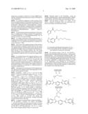 HYBRID MEMBRANES, METHOD FOR PRODUCTION OF HYBRID MEMBRANES AND FUEL CELLS USING SUCH HYBRID MEMBRANES diagram and image