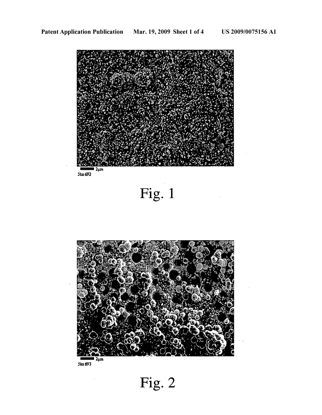 Porous Electrolessly Deposited Coatings - diagram, schematic, and image 02