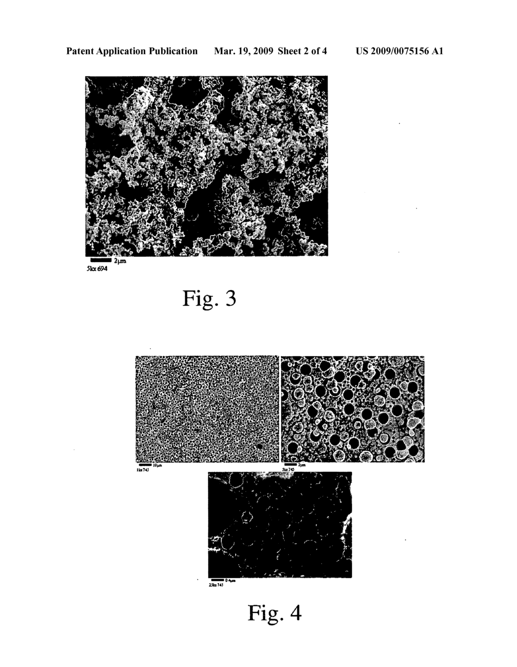 Porous Electrolessly Deposited Coatings - diagram, schematic, and image 03