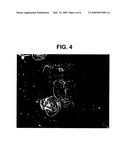 Collection Assembly for Obtaining Oral Samples From an Animal diagram and image