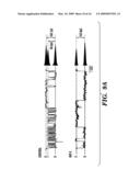 PEPTIDE-BASED REGULATION OF GAP JUNCTIONS diagram and image