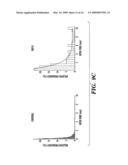 PEPTIDE-BASED REGULATION OF GAP JUNCTIONS diagram and image