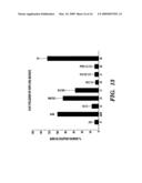 PEPTIDE-BASED REGULATION OF GAP JUNCTIONS diagram and image