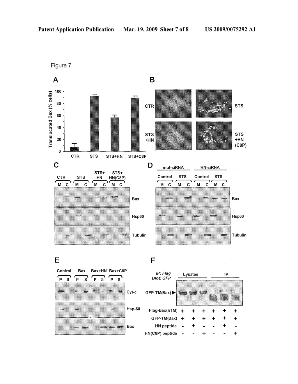 METHODS FOR IDENTIFYING MODULATORS OF APOPTOSIS - diagram, schematic, and image 08