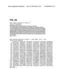 SINGLE-CELL BIOSENSOR FOR THE MEASUREMENT OF GPCR LIGANDS IN A TEST SAMPLE diagram and image