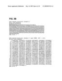 SINGLE-CELL BIOSENSOR FOR THE MEASUREMENT OF GPCR LIGANDS IN A TEST SAMPLE diagram and image