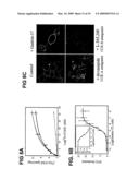 SINGLE-CELL BIOSENSOR FOR THE MEASUREMENT OF GPCR LIGANDS IN A TEST SAMPLE diagram and image