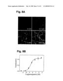 SINGLE-CELL BIOSENSOR FOR THE MEASUREMENT OF GPCR LIGANDS IN A TEST SAMPLE diagram and image