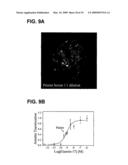 SINGLE-CELL BIOSENSOR FOR THE MEASUREMENT OF GPCR LIGANDS IN A TEST SAMPLE diagram and image