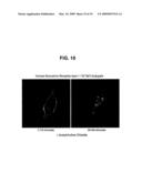 SINGLE-CELL BIOSENSOR FOR THE MEASUREMENT OF GPCR LIGANDS IN A TEST SAMPLE diagram and image