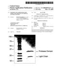 METHODS AND COMPOSITIONS FOR MODULATING HEPATOCYTE GROWTH FACTOR ACTIVATION diagram and image