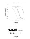 METHODS AND COMPOSITIONS FOR MODULATING HEPATOCYTE GROWTH FACTOR ACTIVATION diagram and image