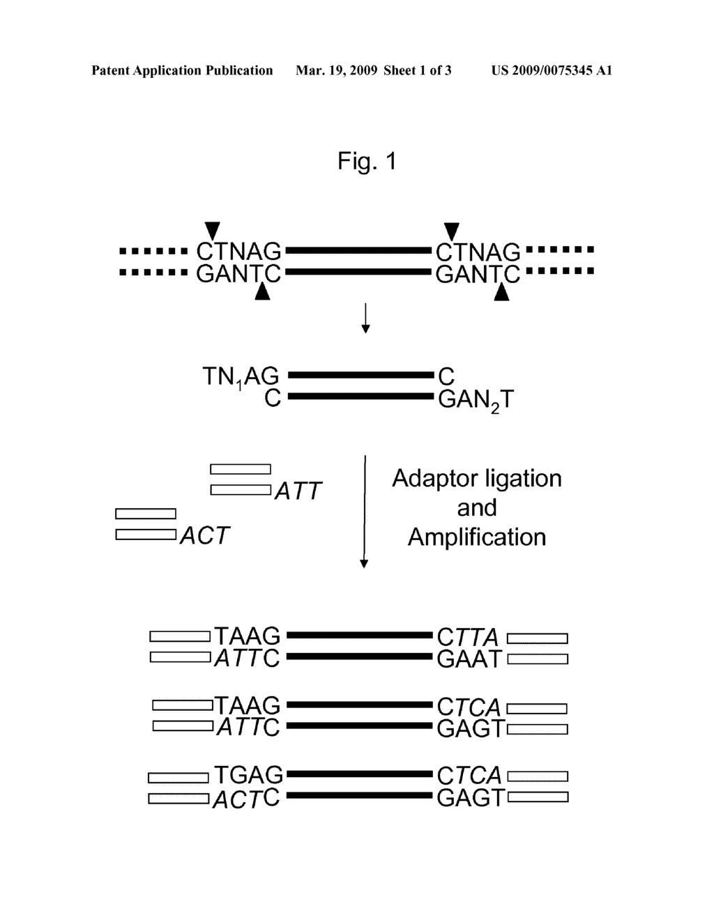 Methods for Genotyping with Selective Adaptor Ligation - diagram, schematic, and image 02