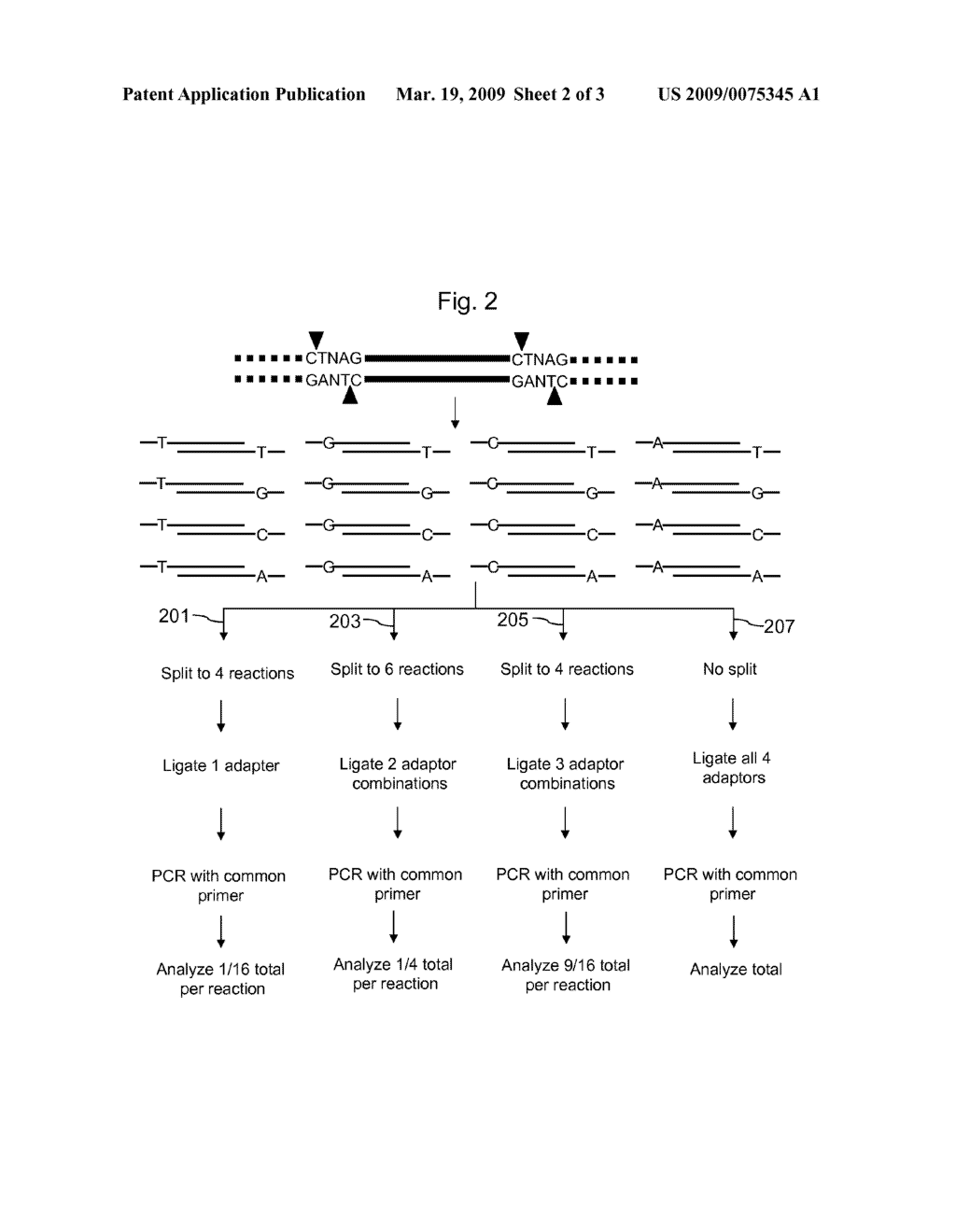 Methods for Genotyping with Selective Adaptor Ligation - diagram, schematic, and image 03